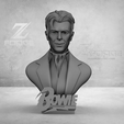 6.png DAVID BOWIE BUST EASY PRINT
