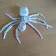 IMG_20231008_154507.jpg Spider low poly print in place