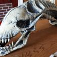 29683895_159998801352832_6834920058396219105_n.jpg STL file Alien Skull・3D printing template to download