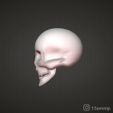 1-4.jpg Calavera Skull