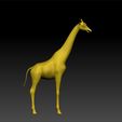 g111111.jpg Girafe