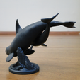 002.png Orca and Calf