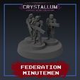 fm-tem.jpg Federation Minutemen Heavy Infantry