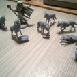 DSCF0734.jpg 用于 D&D、龙与地下城的狼群