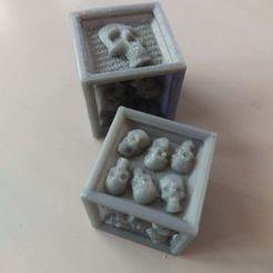 Skull dice - Dé crane - Zombicide BP/GH & Rum&Bones alternatives
