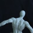 Milots-Tutus-3D-Printing-Cults4.jpg spiderman