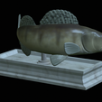 zander-statue-4-mouth-open-9.png fish zander / pikeperch / Sander lucioperca open mouth statue detailed texture for 3d printing