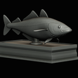 coalfish-statue-box-1-34.png fish coalfish / Pollachius virens with storage space / for 3d printing