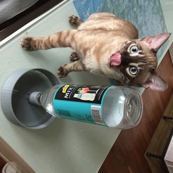 IMG_0938.JPG Archivo STL Tazón para cachorros, gatos y perros - abrevadero para la botella PET・Objeto imprimible en 3D para descargar