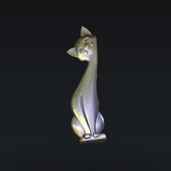 56.jpg cat