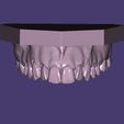 Capture-1.jpg Dental Model Demonstrative