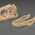 majunga4.jpg Majungasaurus Schädel 3D-Druck - Dinosaurier