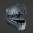 = a ee Mouth