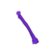 Radius.stl radius ulna and humerus