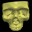 17.png 3D Human Skull - Cap, Mandible