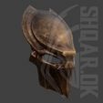 f7.jpg Predator Falconer mask