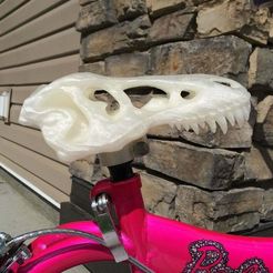 IMG_0027.jpg Free STL file T-Rex Bike Seat・Object to download and to 3D print, RobB
