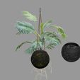 Render-04.jpg KOKEDAMA POT 010 Complete Collection