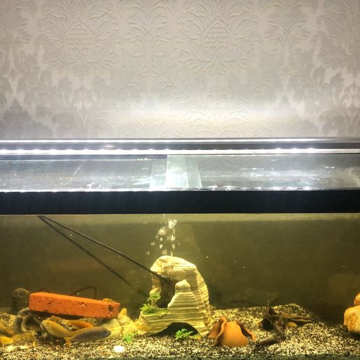 aquarium led stand - 3D model önizlemesi