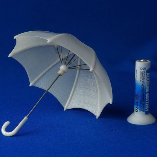 I_Printed_Umbrella-036K.JPG A chuva acabou