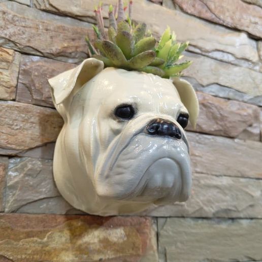 English Bulldog head wall mount planter pot - 3D model önizlemesi