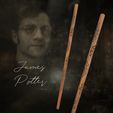 cover.jpg James Potter Wand - Harry Potter