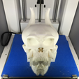 Capture_d__cran_2015-10-22___17.44.06.png Archivo STL gratis Cráneo de Oni [ahuecado]・Modelo de impresión 3D para descargar