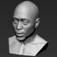 13.jpg Tupac Shakur bust ready for full color 3D printing