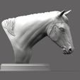 Horse's-head3.jpg Horses head 3D print model