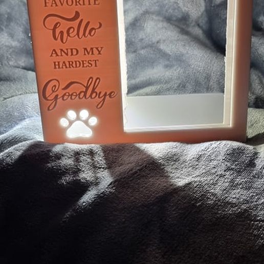 litho frame 3D model