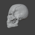 skull-Necklance.png skull