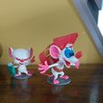 20260902_124141.jpg pinky and brain collection