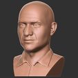 3.jpg Andre Agassi bust for 3D printing