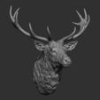 9.jpg Deer head
