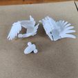 20240609_112037.jpg Articulated wings for DUMMY 13 (Fully flexible, module designs)
