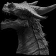 05.jpg Varanur Dragon Head - 3D Printing Files