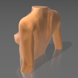 08.png STL file Bust 01・3D printer model to download