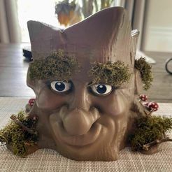 Cartoon Style Tree Face Planter