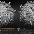 60-VDM-and-Alpha-Hair-and-Fur-Brushes-for-ZBrush-Sculpted-By-Yacine-BRINIS-Volume-01-Set-010.jpg 60 VDM and Alpha Texture Hair and Fur Brushes Volume 01