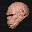 14.jpg King Monkey Mask - Kingdom of The Planet of The Apes