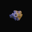 ATPase-render-bottom.png ATP-Synthase-Protein