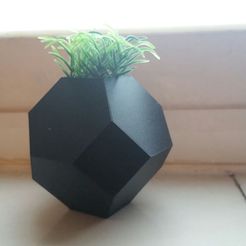 IMG-20180213-WA0023.jpg Download STL file Mini planter • 3D print object, solunkejagruti