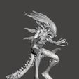 2.jpg Praetorian Xenomorph Alien - AVP 2010 Articulated dynamic pose STL for 3D printing