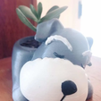 Captura7.PNG Set STL Pets DOG Flower Pot 6 designs Cactus Succulents - Pets DOG Flower Pot Design