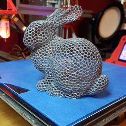 Bunny Voronoi - with support. Rabbit Voronoi with support