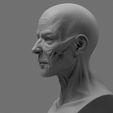 Cam_002.jpg Stylized Anatomy Face 3D print model