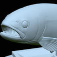 Rainbow-trout-trophy-open-mouth-1-46.png fish rainbow trout / Oncorhynchus mykiss trophy statue detailed texture for 3d printing