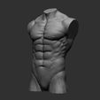 20.jpg Archivo 3D 4 Torsos masculinos・Modelo para descargar e imprimir en 3D, Daniartist