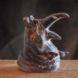 8.jpg Rhino Head Bust - With or Without Cigar