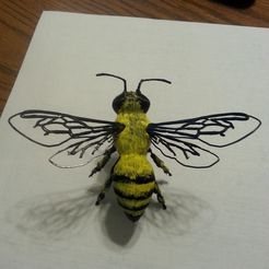 20170521_130733.jpg Archivo 3D gratuito Abeja de la miel・Objeto para descargar e imprimir en 3D